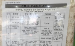 동물병원 초·재진 횟수도 전수조사한다? 공시제 기준 행정예고