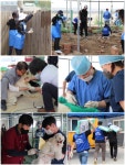 유기동물 봄맞이 도운 블루엔젤봉사단·경기도수의사회