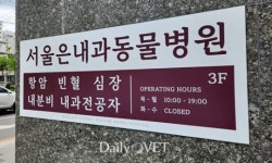 [전문진료 동물병원 인터뷰37] 서울은내과동물병원