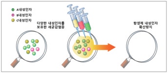 항생제 병용, 무분별한 혼합과 다르다