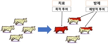 농장동물 항생제 처방을 위한 검토 순서