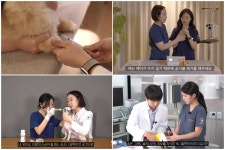 동물병원 인턴으로 살아남기, 벳아너스 ‘슬기로운 인턴생활’ 137편 완성