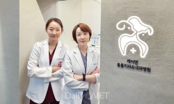 [전문진료 동물병원 인터뷰 38] 케어덴 동물치과&내과병원
