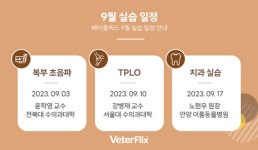 베터플릭스, 9월 3가지 실습 과정 ‘복부초음파·TPLO·치과’ 모집