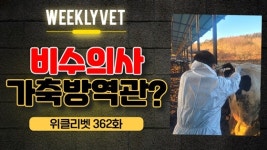 [위클리벳 362회] 수의사 아닌 사람에게 가축방역관을 시킨다니?