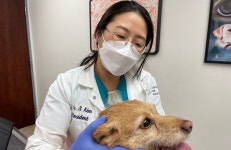 [인터뷰] 한국 수의사 출신 미국수의안과전문의 2호 ‘김수현 박사’