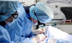 해마루반려동물의료재단, 특수목적견 의료지원 시작