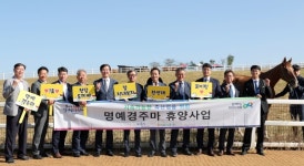 은퇴한 명마, 안성 휴양목장서 노후 보낸다