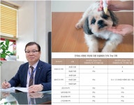 반려동물 진료비 부가세 면세 확대, 동물병원의 대응 전략은