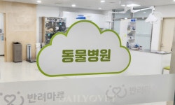 반려마루 정식 개관, 김동연 “더불어 사는 세상, 동물복지 선도할 것”