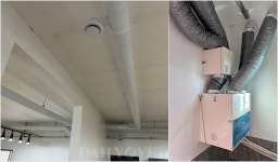 ‘우리 사무실은 가축전염병 전파에 안전한가’ 돼지와건강 신사옥 가보니