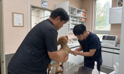 경기도, 동물진료비 게시 이행 당부…상반기 중 합동점검 예정