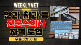 [위클리벳 381회] 치과, 안과 전문수의사 자격 도입