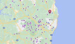 경북 영덕 돼지농가서 아프리카돼지열병 발병