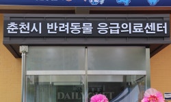 “춘천시 반려동물 응급의료센터, 서울에서도 찾을 정도”