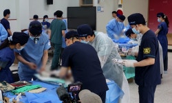 국경없는 수의사회, 양주시와 중성화 수술 프로젝트