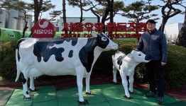 펫보험사의 진료기록부 공개 요구에 어떻게 대응해야 하나