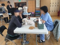 서울시 관악구, 주민센터로 ‘찾아가는 동물병원’ 운영
