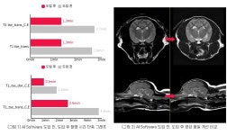 이안동물의학센터 “AI 도입으로 MRI 촬영 더 빨라지고 정확해져”