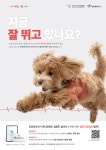 카디오버드, 한국수의심장협회와 반려동물 건강한 심장 위한 ‘하트앤런’ 캠페인