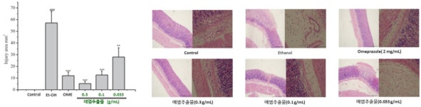[신제품] 벡스퍼트, 반려동물 위장관보호제 알테스틴 출시