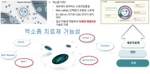 [기고] 반려동물에서 관심받는 엑소좀, 도대체 뭘까? – 스템온