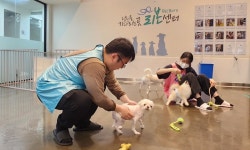 대웅펫, 유기동물 위해 강동 리본센터 봉사활동 진행