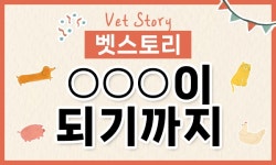 [벳스토리:동물원 수의사가 되기까지] 경북대 수의대 김규태 교수