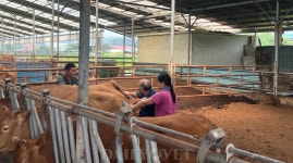 생명경외클럽 VVC, 무더위도 막지 못한 봉사활동