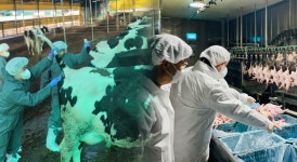 가축방역관 충원 어려움에..국비·도비 공수의 도입 신호탄