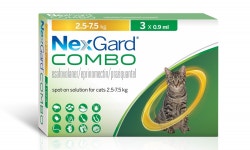 고양이 전용 내외부구충제 ‘넥스가드 캣 콤보’ 10월 출시