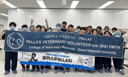 서울대 팔라스, 서울대동물병원에서 중성화수술 봉사