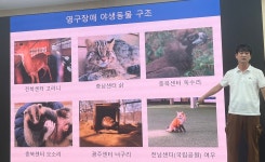 [봉사심] 함께 하는 봉사는 동물원에서도 중요해요