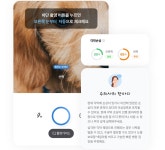 동물병원 진료비 비교 사이트 현실로..삼성화재 서비스 시작