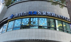 [전문진료 동물병원 인터뷰 41] 초이스외과동물병원