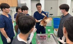 강원대 수의대, 평창 연수원에서 조류질병학 가금 기본과정 실습