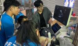 비영리 재단 동물진료법인 넬, 베트남과 수의학 교류 본격화