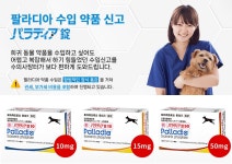 ‘반려견용 경구 항암제 팔라디아 공급 원활해지나’ 일선 동물병원 무환수입 지원