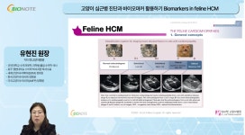 “고양이가 아프면 동물병원 가겠다는 생각 자체가 굉장히 호기로운 것”