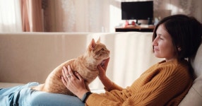 우리..잘 지내고 있는 거 맞니? 고양이와 더욱 친해지는 법