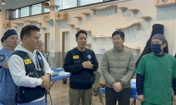 군산에서 감동의 봉사 펼친 국경없는수의사회