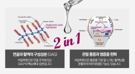 반려동물 관절 건강의 새로운 솔루션, 비오탁 AR-78