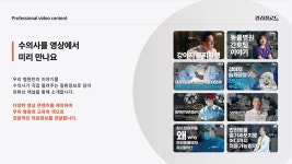 ‘고유의 색으로 동물병원 브랜드를 만든다’ 컬러풀로드 이혜연 대표
