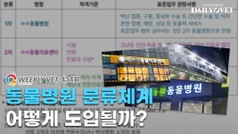 [위클리벳 434회] 1·2차 동물병원, 전문동물병원 구분 어떻게 할까