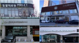 동물병원 이름에 ‘의료센터’, ‘메디컬센터’...얼마나 될까?