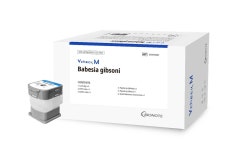 바이오노트 Vcheck M10, 바베시아 유전자 검사 국내 허가 획득