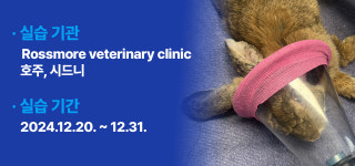 From Practice to Passion：호주에서 경험한 수의 임상 실습