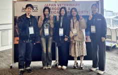 JaVECCS 국제심포지엄 10여 편 포스터 중 VIP동물의료센터 청담점 포스터 4편 포함