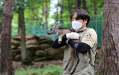 [벳스토리: 국립공원의 수의사가 되기까지] 국립공원공단 김홍철 책임연구원