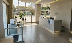 [전문진료 동물병원 인터뷰 45] ‘안과 특화’ 클리어동물병원